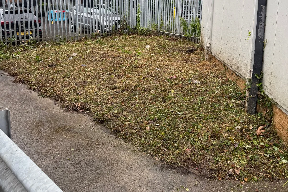 after (3)